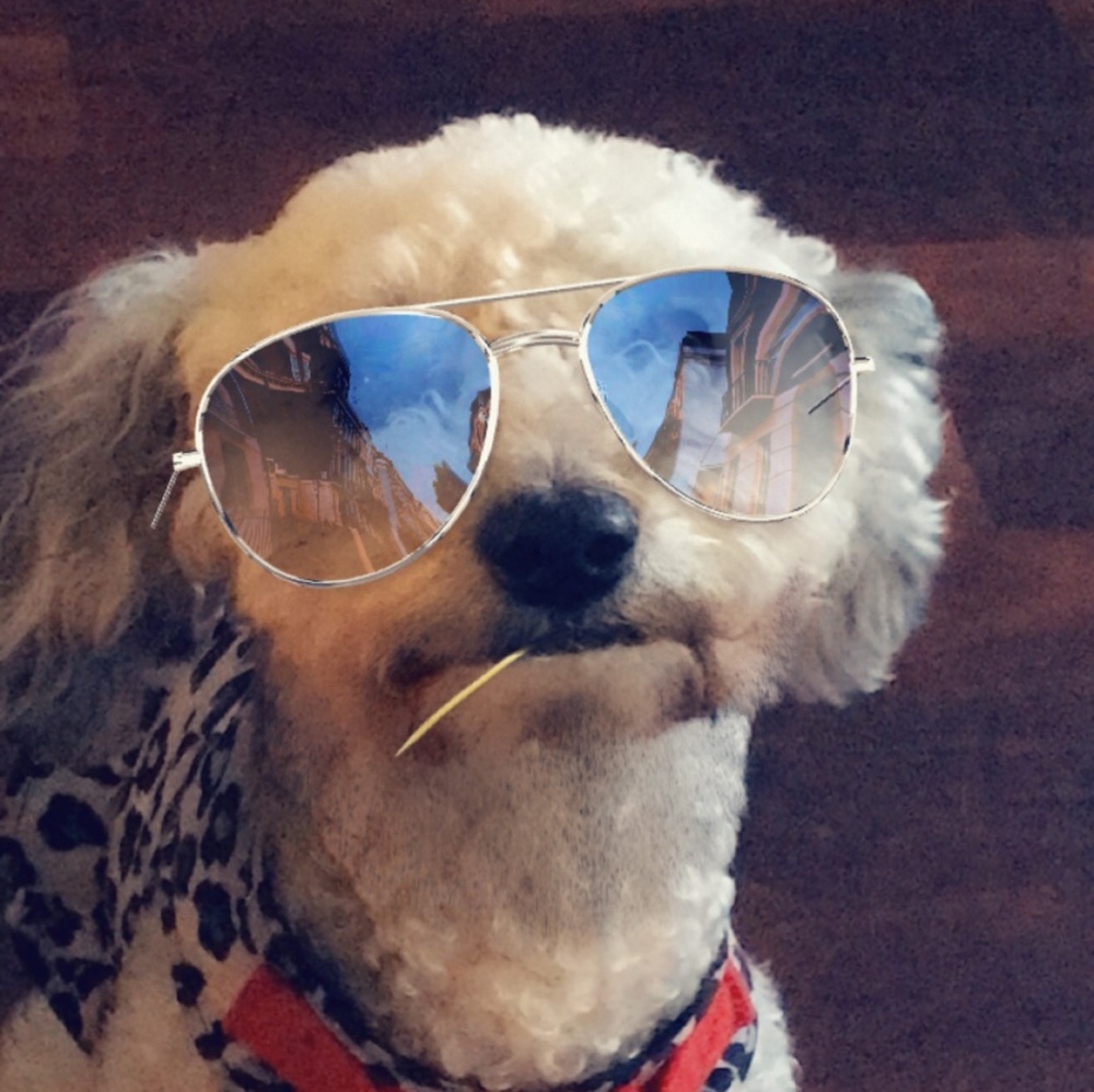 Meet your Posher, Jenny